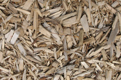 biomass boilers Dunsa